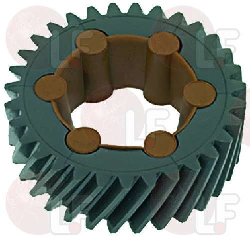 COMPLETE 31-TOOTH GEAR IN NYLON
