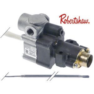 valva de gaz termostatica tip BJWA25PBD 65-204°C